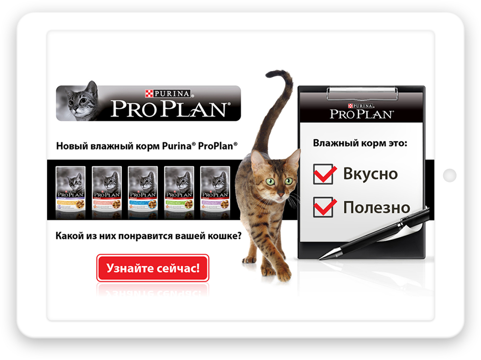 Разработка дизайна мобильного приложения для Proplan
